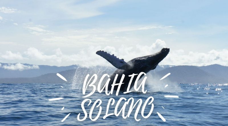 Bahía Solano – Chocó - Un paraíso en el Pacífico Colombiano - Viajes - Hoteles